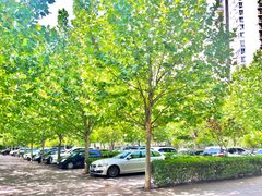 双井现房 331平 5隔断带家具 - 缩略图 5