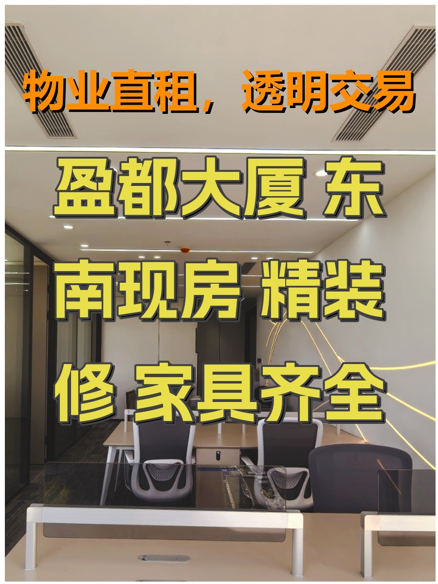 盈都大厦 东南现房 精装修 家具齐全 双地铁