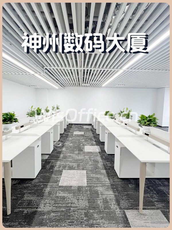 神州数码大厦30工位实景图