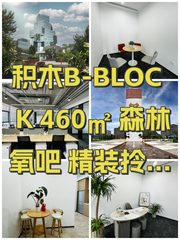 积木B-BLOCK 460㎡ 森林氧吧 精装拎包 - 缩略图 1