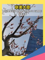 联美大厦办公室实景图 1