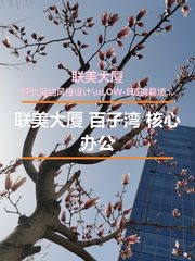 联美大厦办公室实景图 1