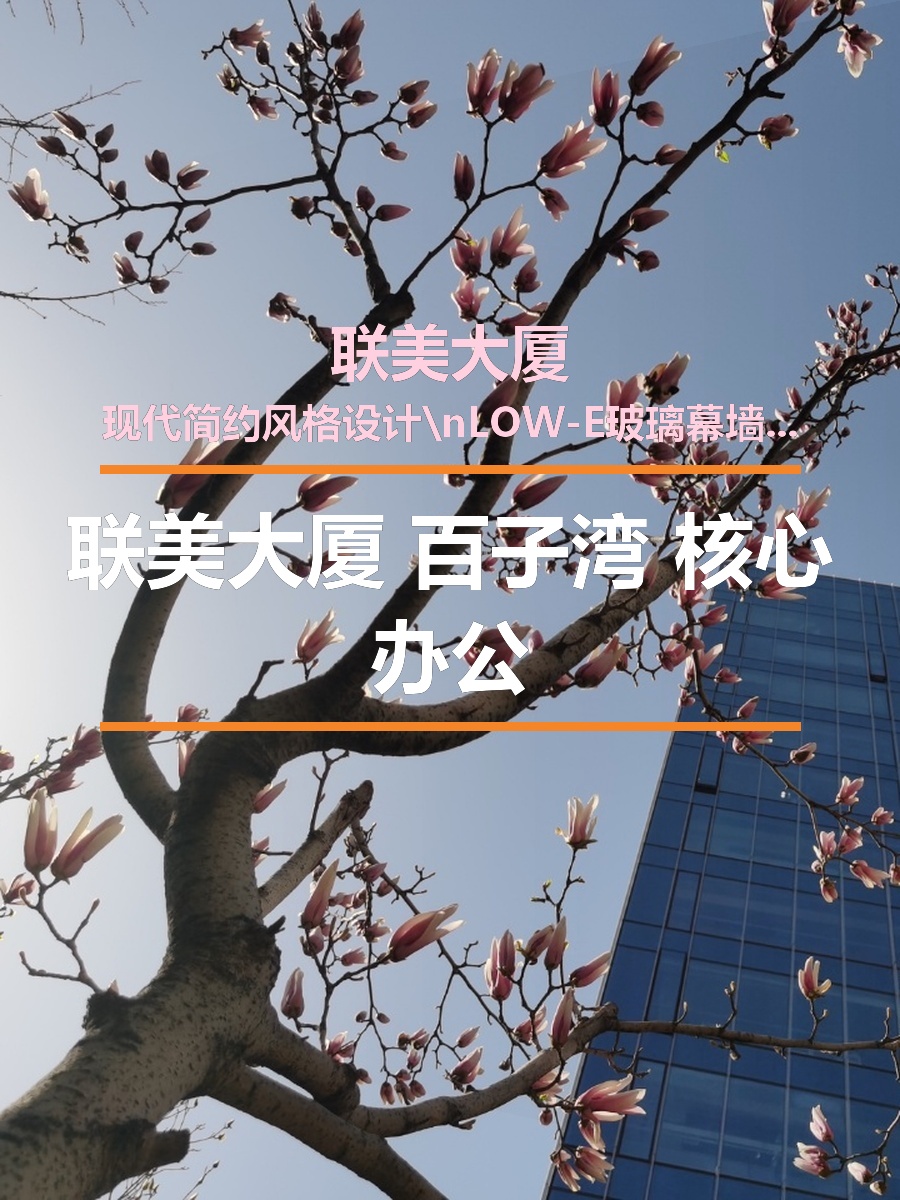 联美大厦 百子湾 核心办公
