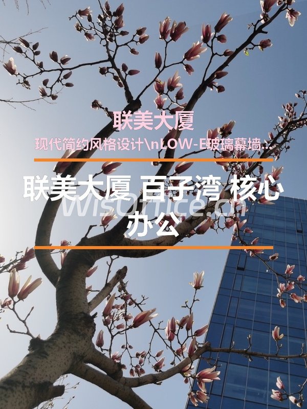 联美大厦612.92㎡实景图