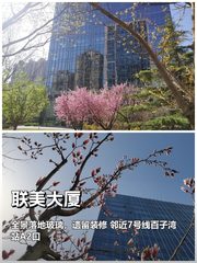 联美大厦办公室实景图 1