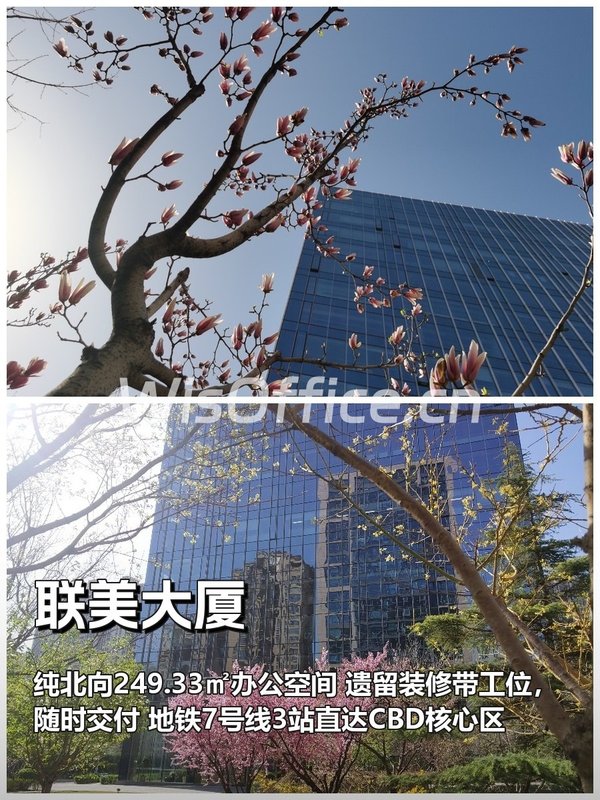 联美大厦249.33㎡实景图
