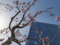 联美大厦办公室实景图 2