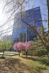 联美大厦办公室实景图 3