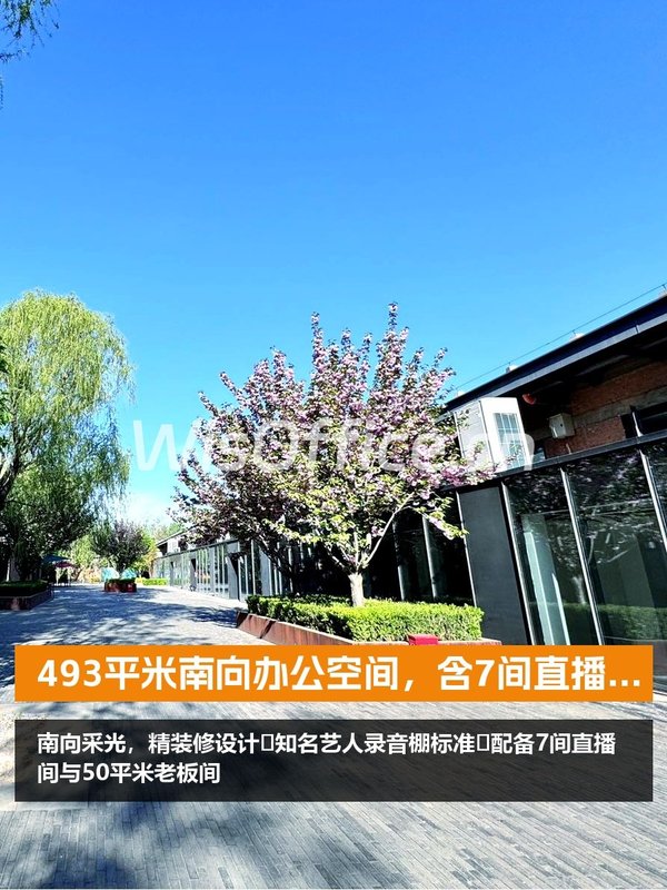 493平米南向办公空间，含7间直播间 - 首图
