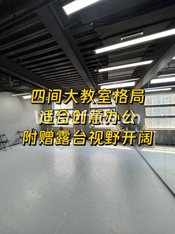 花园里450㎡实景图