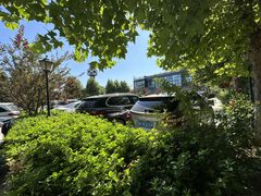 花园里合院 533平带双露台 - 缩略图 15