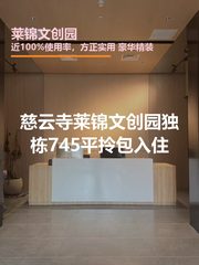 莱锦文创园办公室实景图 1