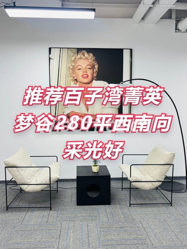 推荐菁英梦谷280平西南向采光好 - 首图