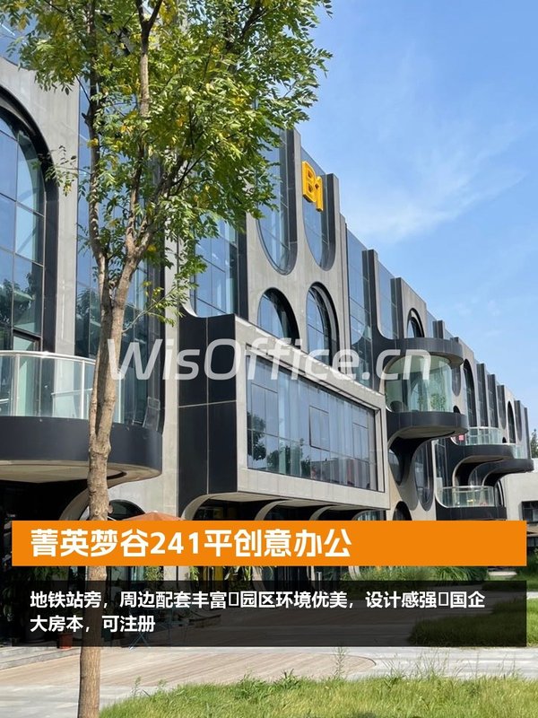 菁英梦谷241㎡实景图
