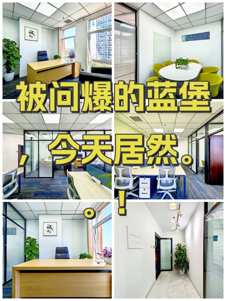 蓝堡国际中心办公室实景
