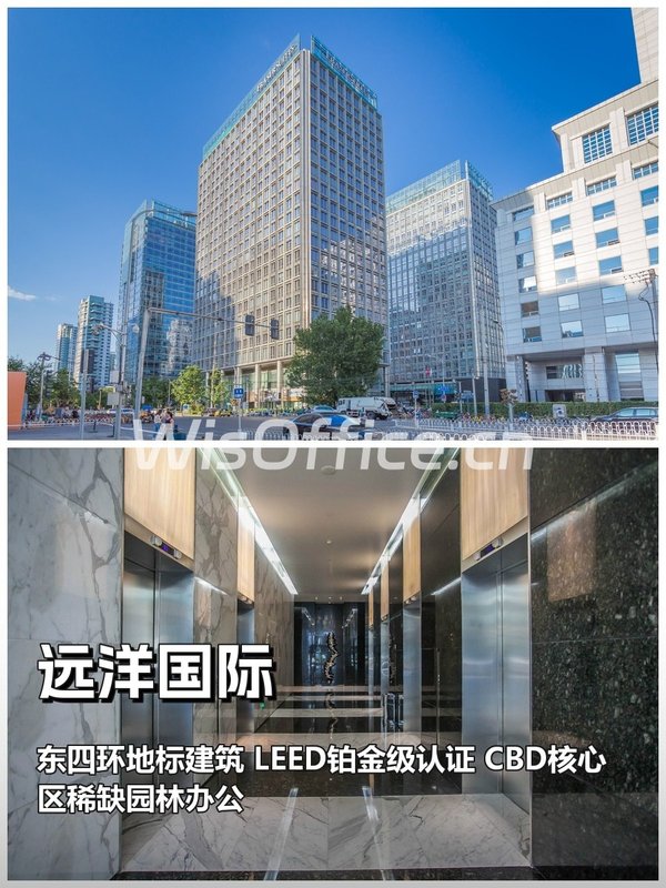 远洋国际100–500㎡实景图
