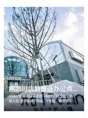 用咖啡店数量选办公点，有讲究 - 缩略图 1