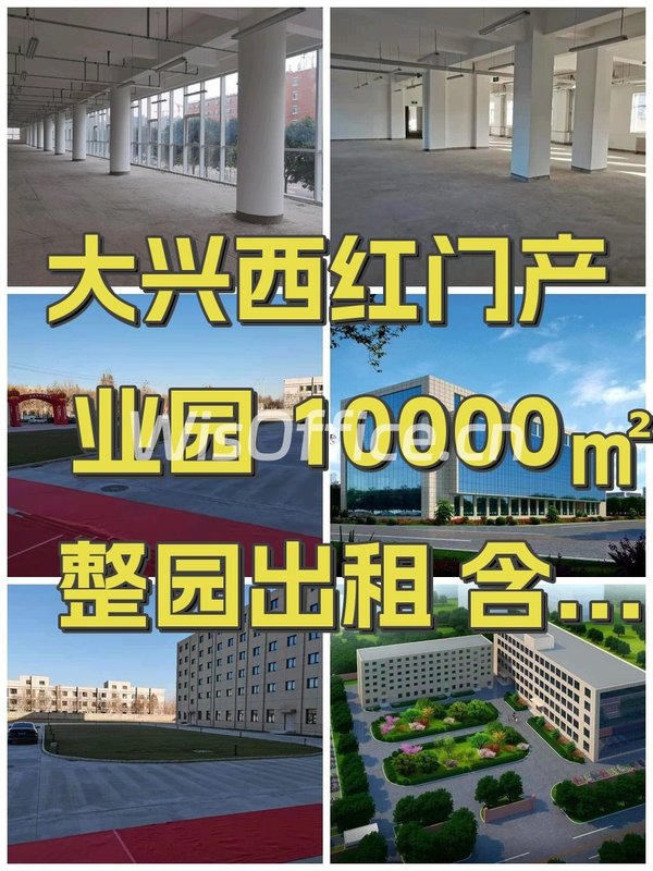 西红门产业园5000–15000㎡实景图