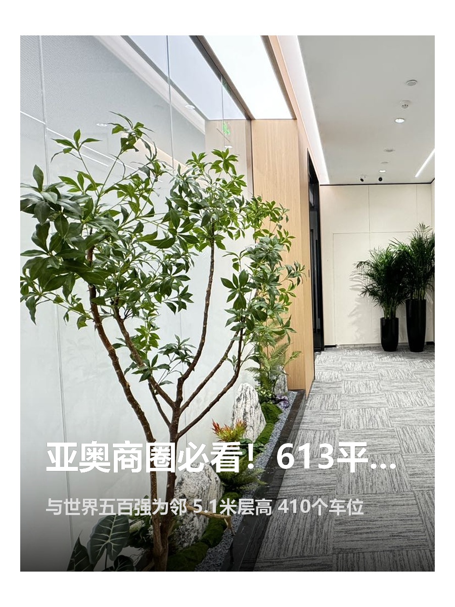 龙湖蓝海引擎产业园办公室实景