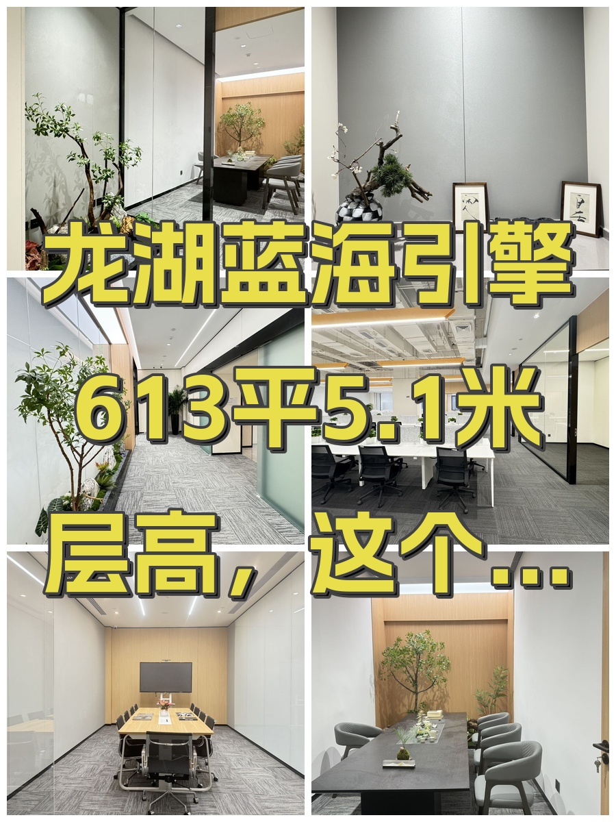 龙湖蓝海引擎产业园办公室实景