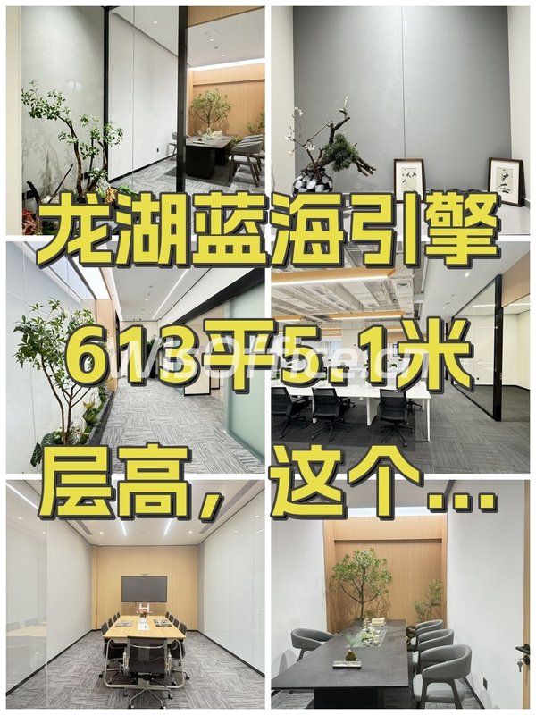 龙湖蓝海引擎产业园613.13㎡实景图