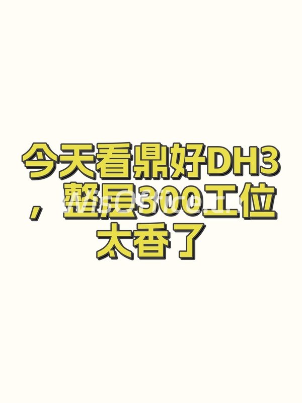 鼎好DH31012–2156㎡实景图