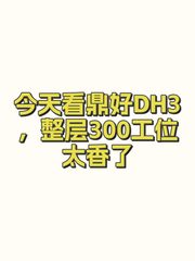 鼎好DH3办公室实景图 1