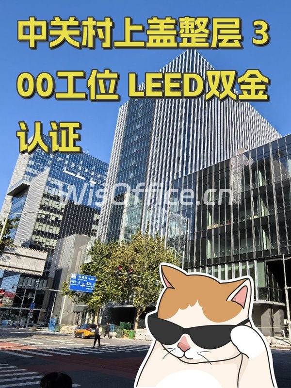 鼎好DH31012–2156㎡实景图