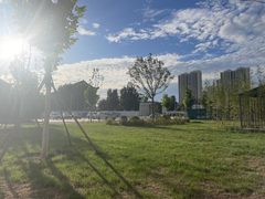 鼎新科技园299平独栋精装 双地铁 - 缩略图 24