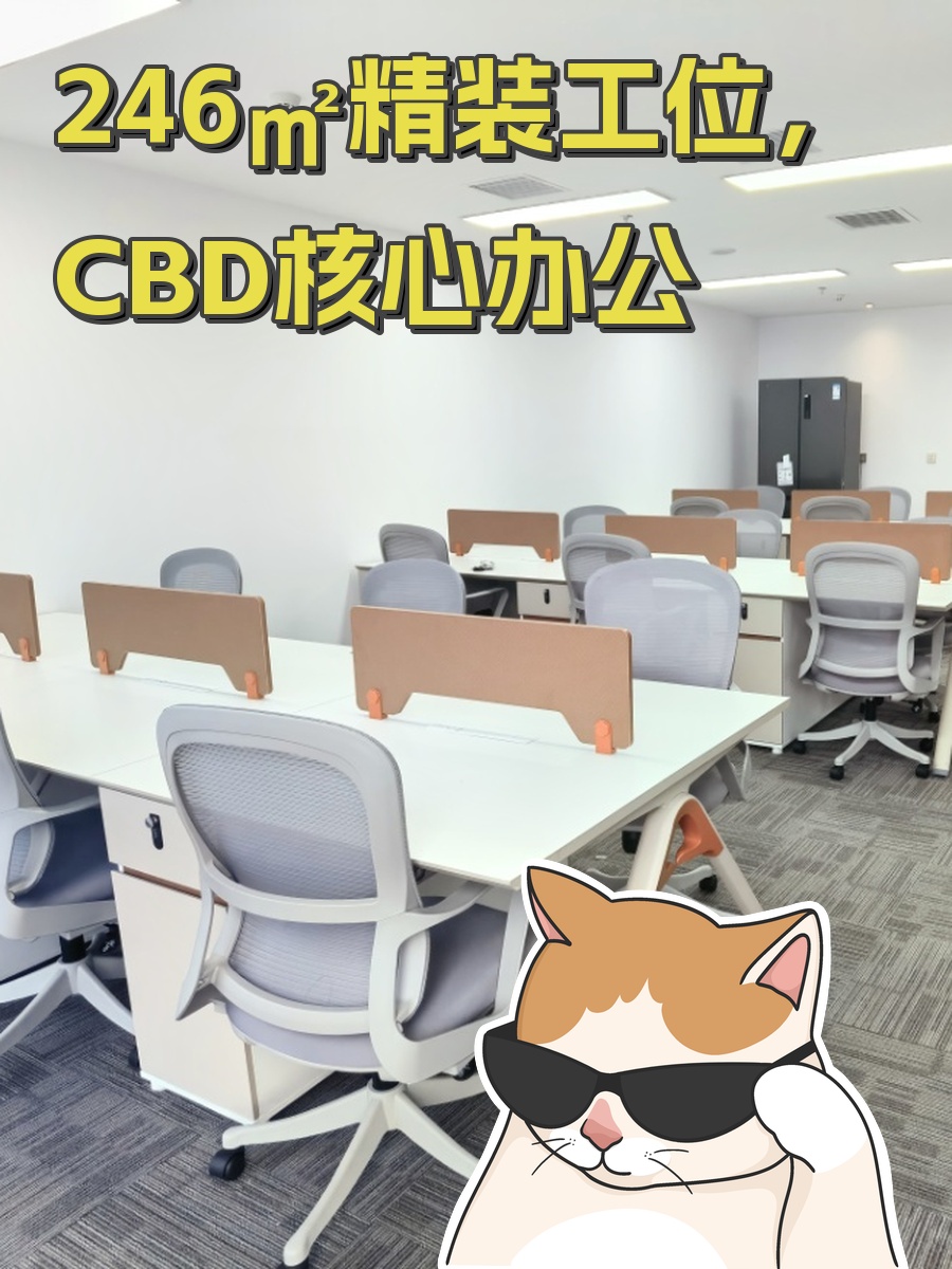 246㎡精装工位，CBD核心办公