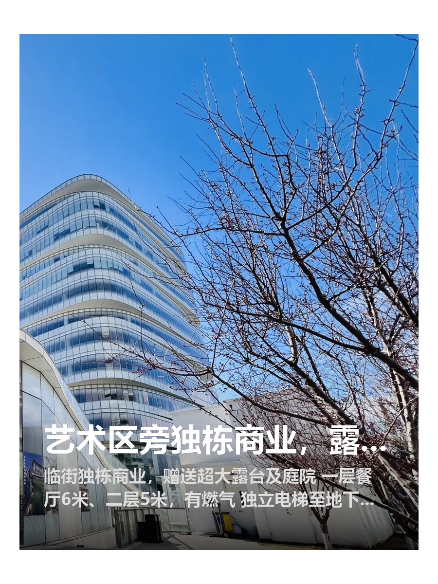 艺术区旁独栋商业，露台庭院直接拉满
