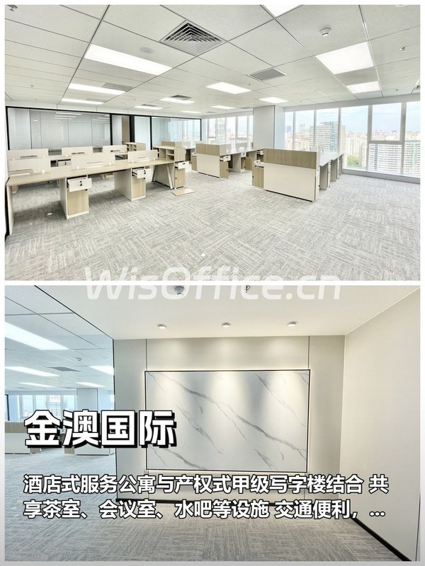 金澳国际306㎡实景图