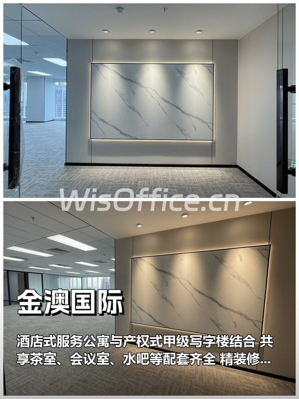 金澳国际306㎡实景图