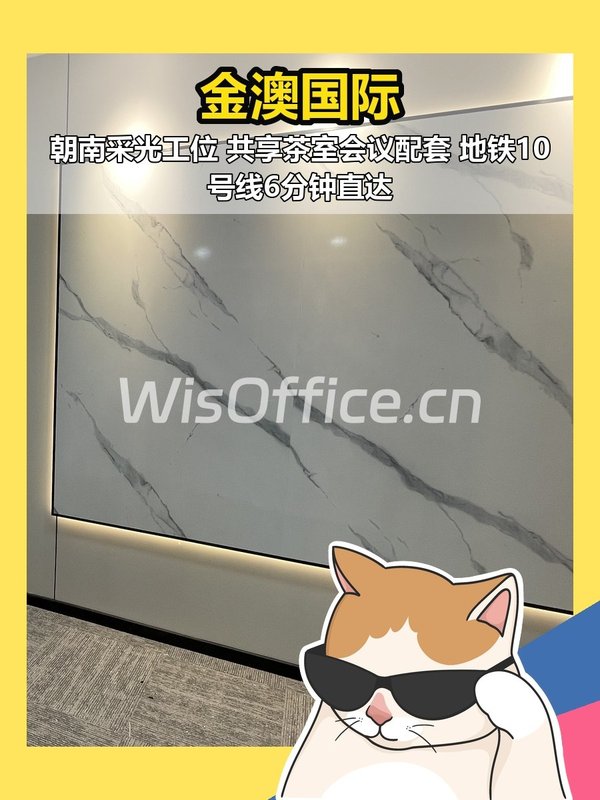金澳国际164㎡实景图