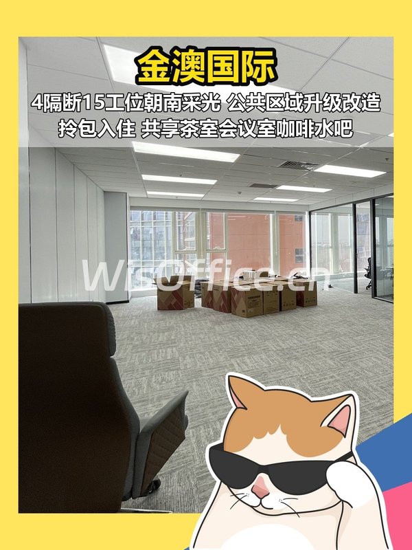 金澳国际244㎡实景图
