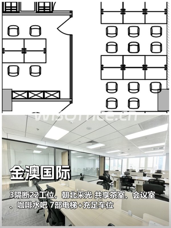 金澳国际234㎡实景图