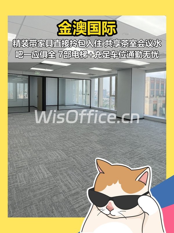 金澳国际310㎡实景图