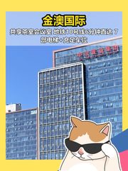 金澳国际办公室实景图 1