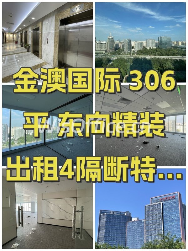 金澳国际306㎡实景图