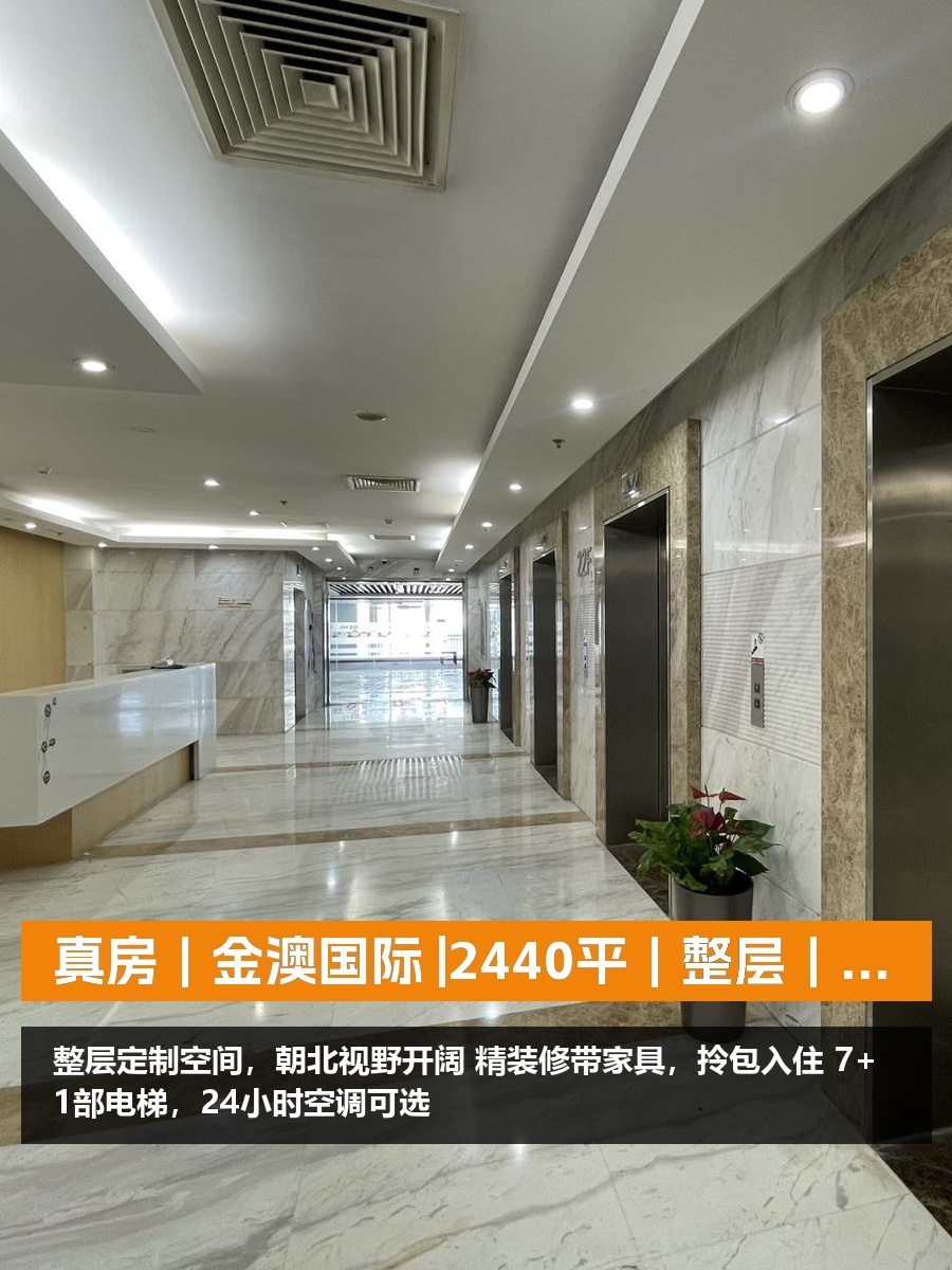 真房｜金澳国际 |2440平｜整层｜朝北视野