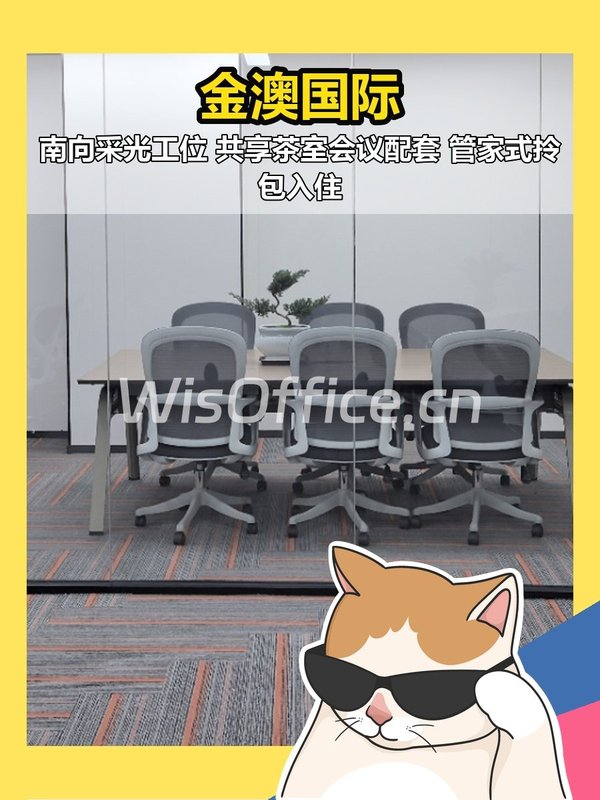 金澳国际500㎡实景图