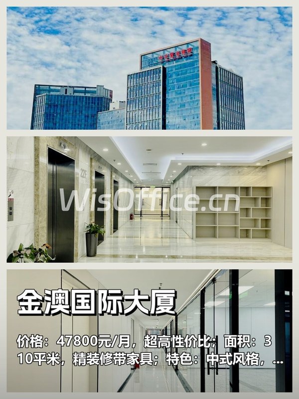 金澳国际大厦310㎡实景图