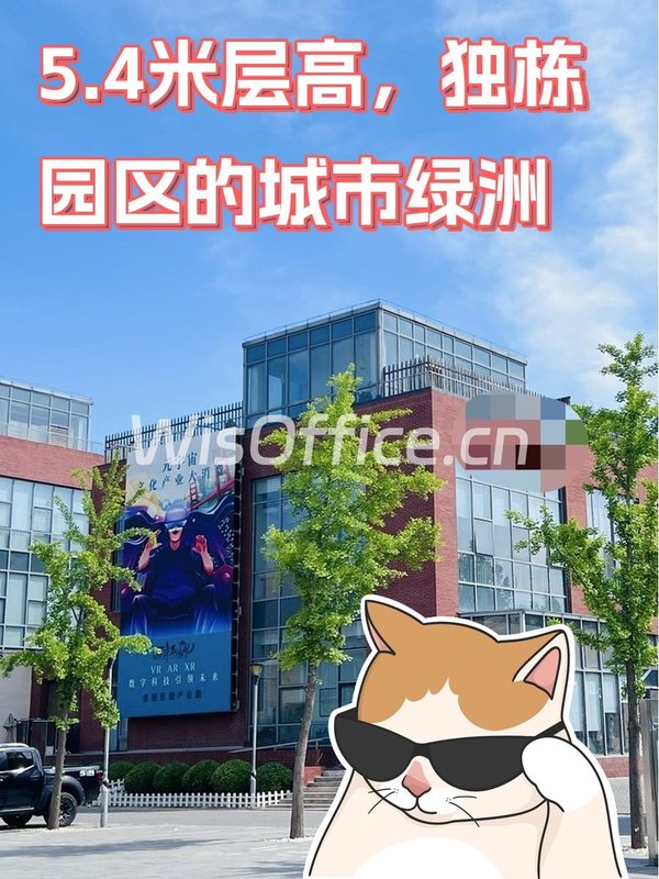金田影视产业园2056㎡实景图