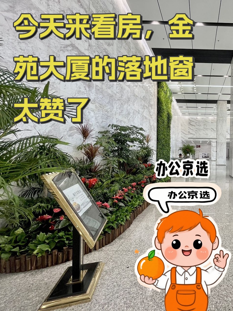 今天来看房，金苑大厦的落地窗太赞了