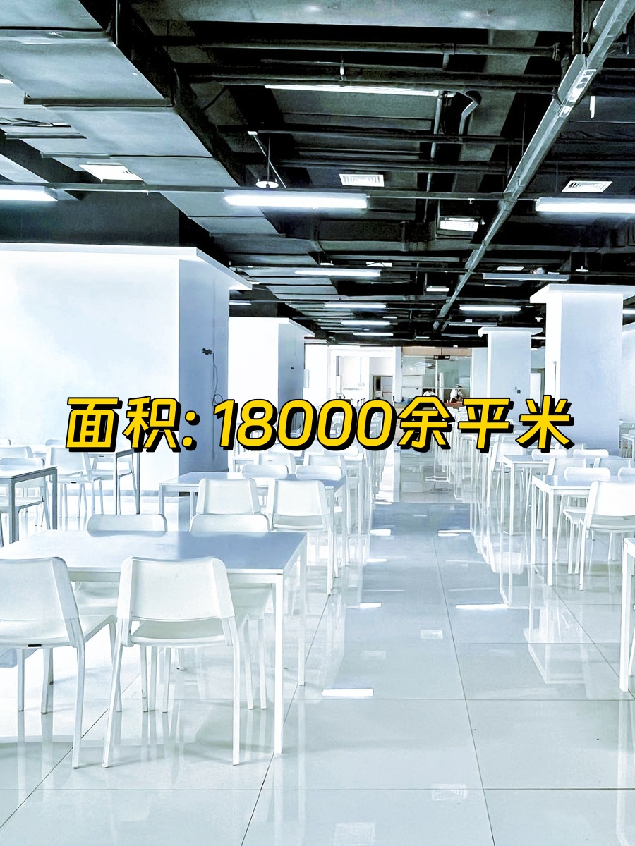 亚奥商圈现房 金苑大厦 邻近地铁