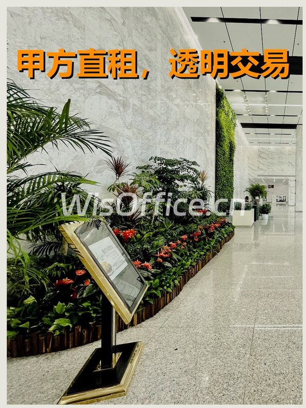 金苑大厦5200–18000㎡实景图