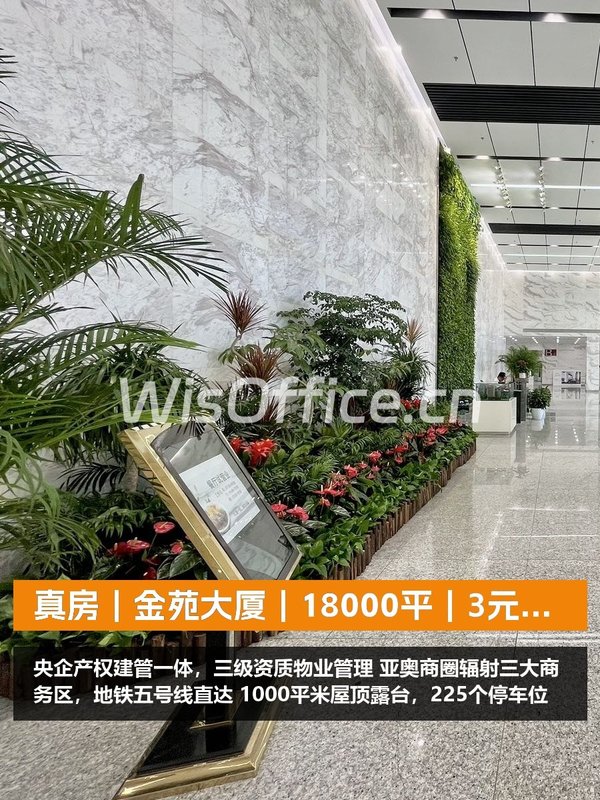 金苑大厦5200–18000㎡实景图