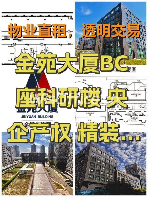 金苑大厦5200–18000㎡实景图