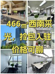 466㎡西南采光，拎包入驻价格可聊 - 缩略图 1