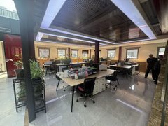 463㎡独栋带院，精装修价格可谈 - 缩略图 27
